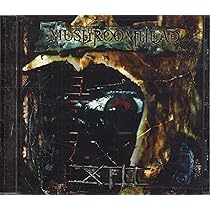 XIII [Enhanced CD] | Amazon.com.br